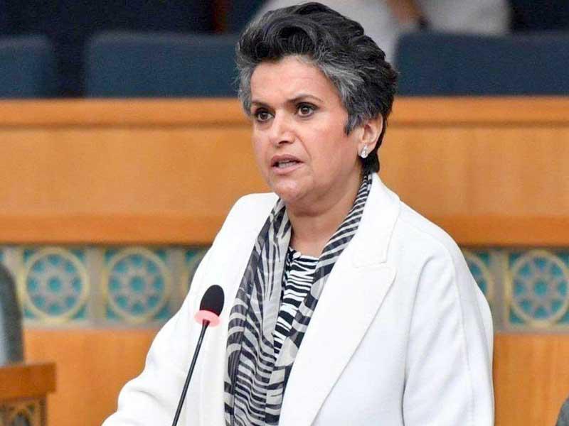 النائبة صفاء الهاشم