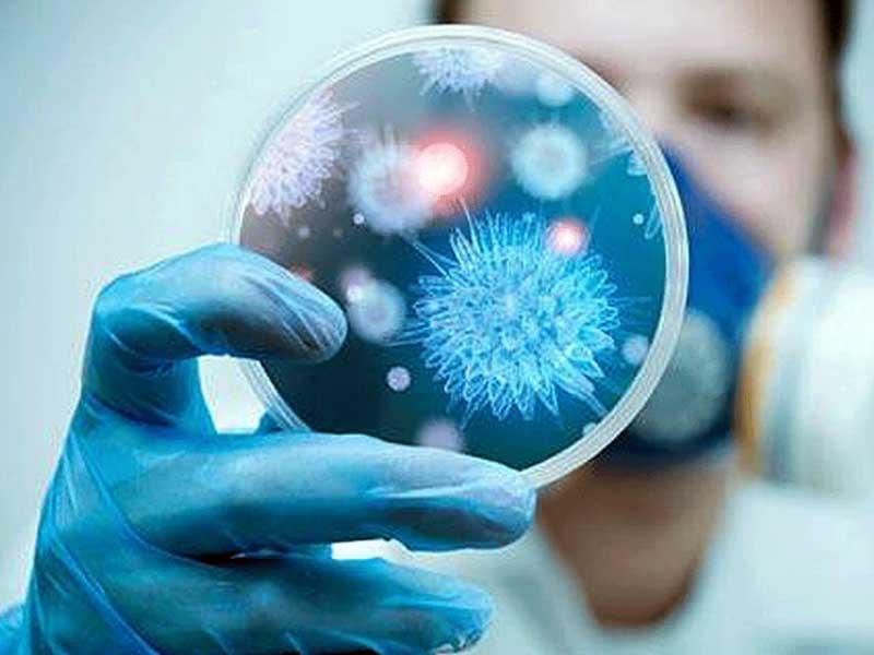 فيروس كورونا