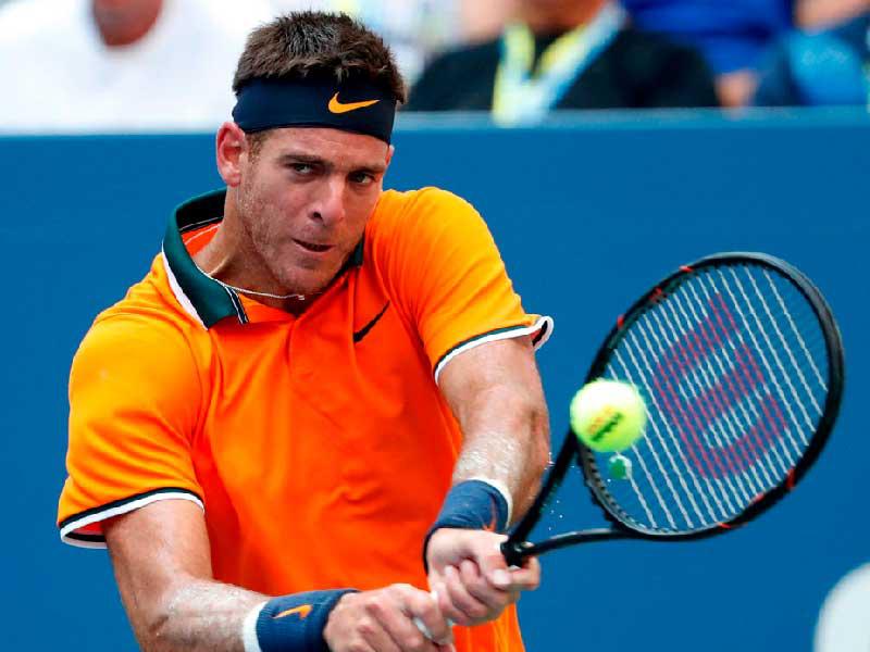 الأرجنتيني خوان مارتن دل بوترو 