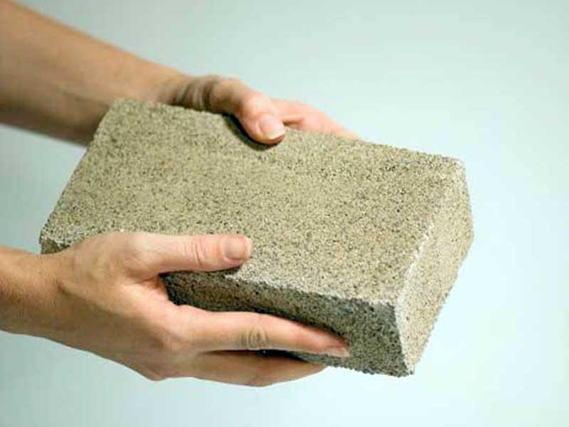 طابوق جيري أميركي يتكاثر