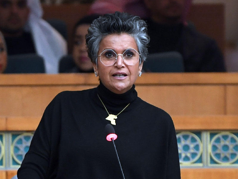 النائبة صفاء الهاشم