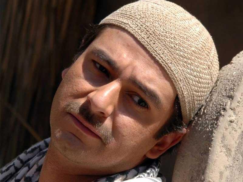 الفنان عاصم حواط