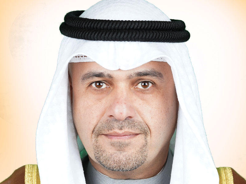 نائب رئيس مجلس الوزراء وزير الداخلية أنس الصالح