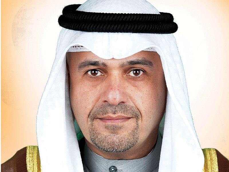  نائب رئيس مجلس الوزراء وزير الداخلية أنس الصالح