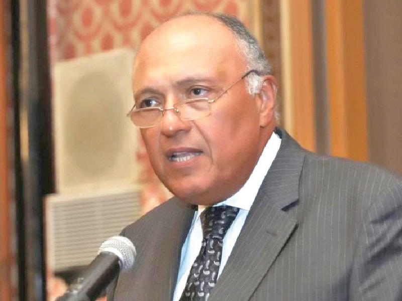 وزير الخارجية المصري سامح شكري