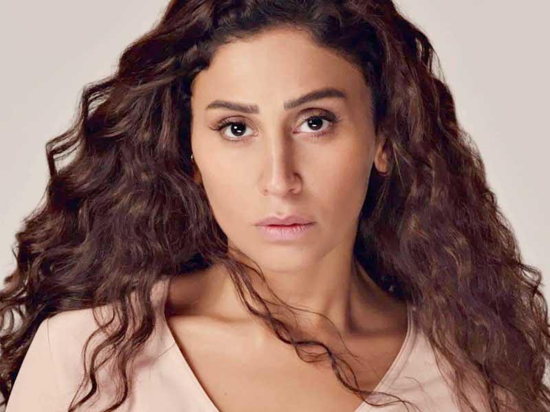 الفنانة دينا الشربيني