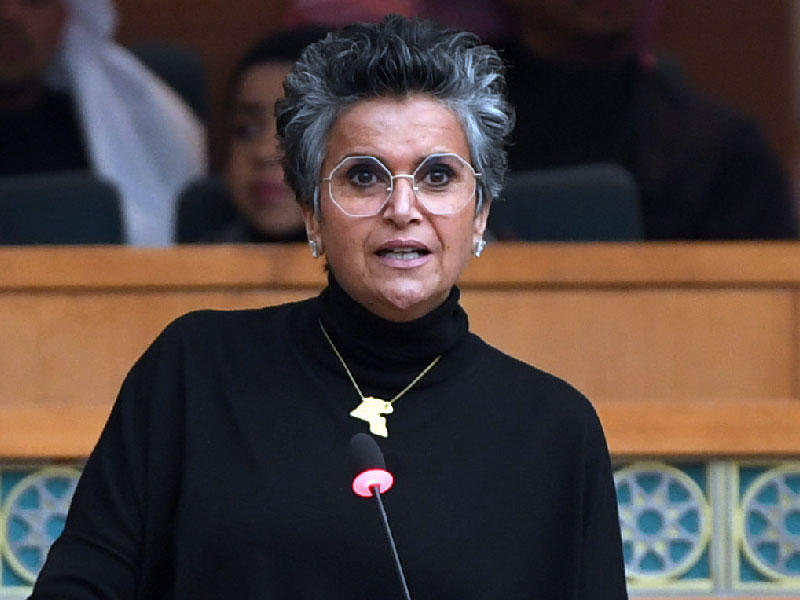 النائبة صفاء الهاشم