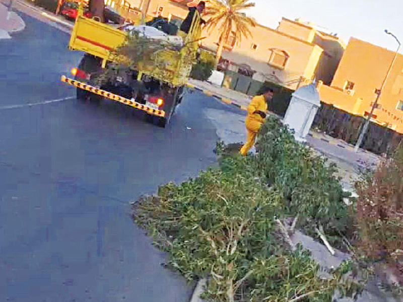 جانب من إزالة المخلفات