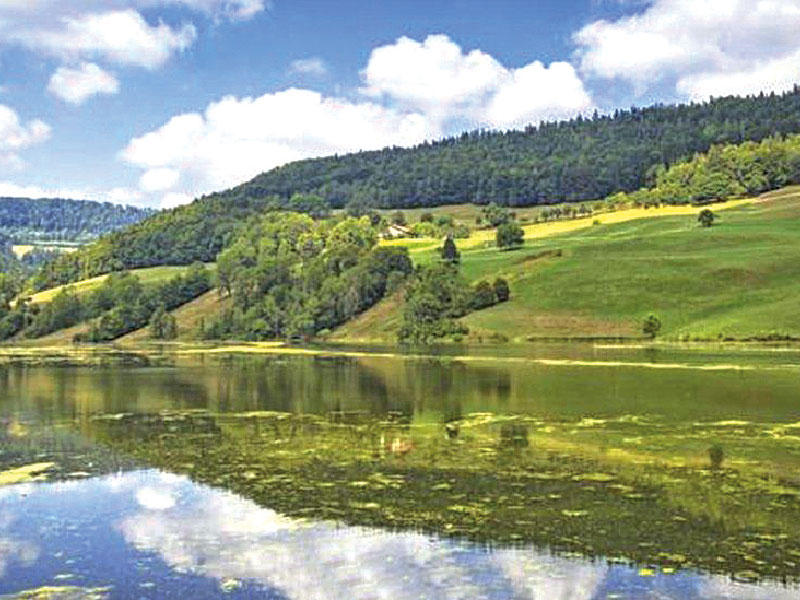 جمهورية صغيرة بدأت بمزحة واستمرت وراثيةn