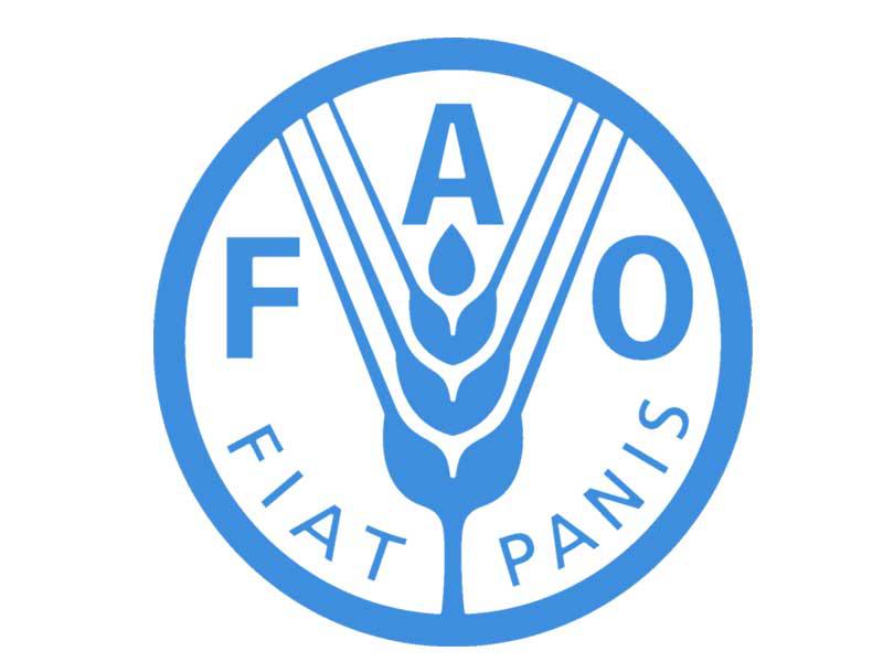  منظمة الأغذية والزراعة التابعة للأمم المتحدة (فاو)