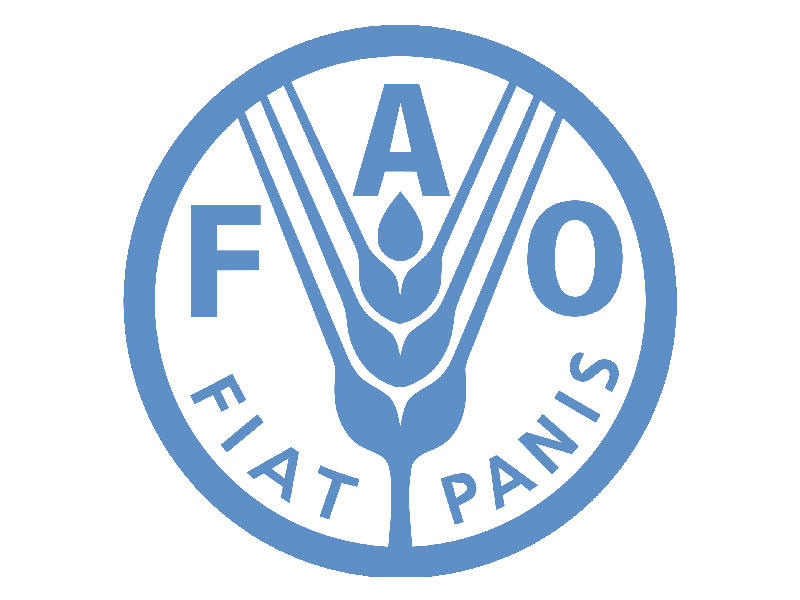 منظمة الأغذية والزراعة التابعة للأمم المتحدة (فاو) 