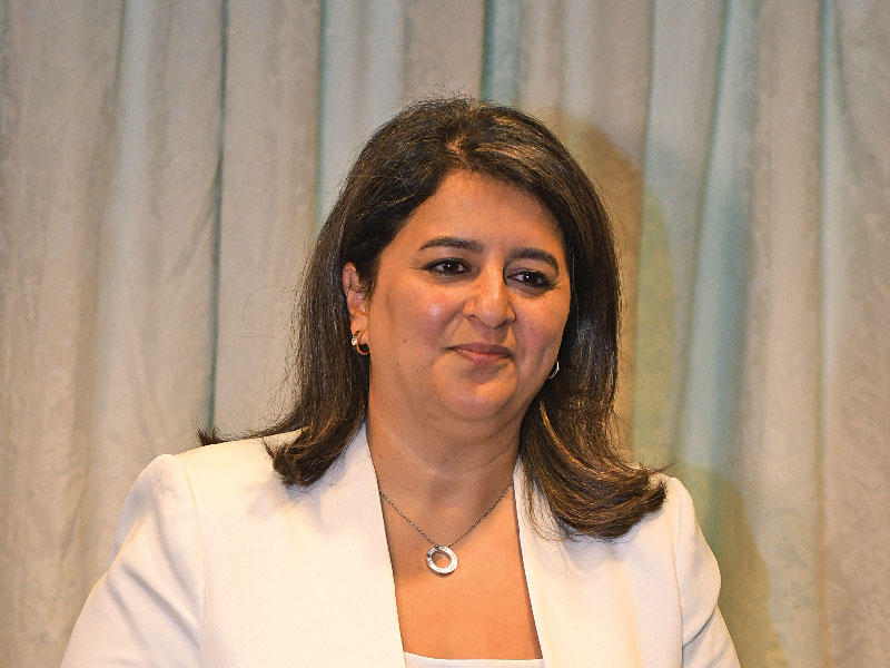 وزيرة الأشغال العامة وزيرة الإسكان د. رنا الفارس