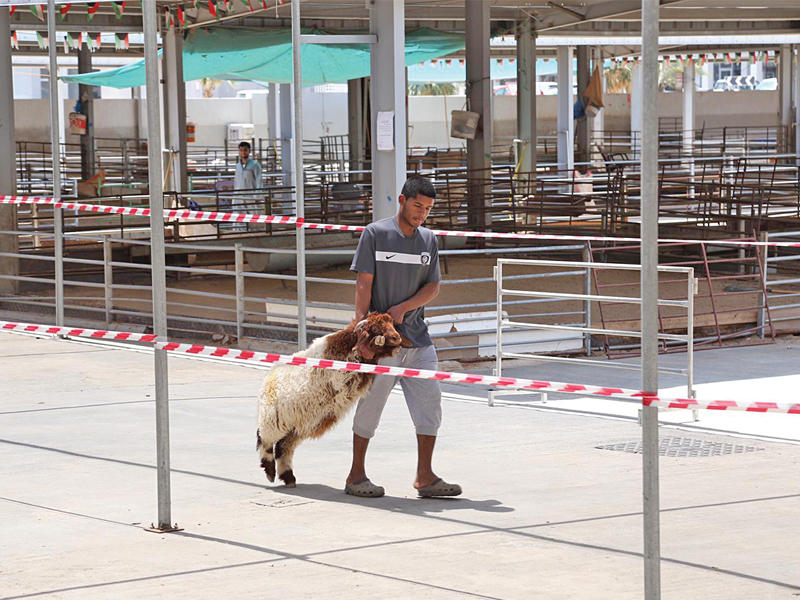 «صفاة الغنم» كما بدت خاوية على عروشها (تصوير جورج ريجي)