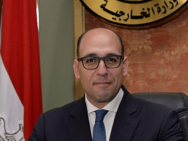  المتحدث باسم وزارة الخارجية المصرية أحمد حافظ