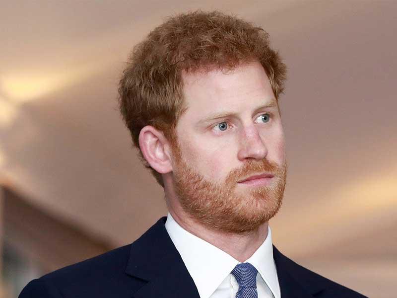 الأمير هاري