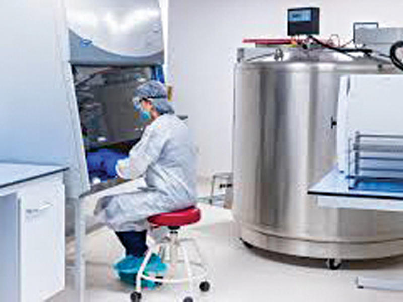 الإمارات تطور علاجاً بالخلايا الجذعية 