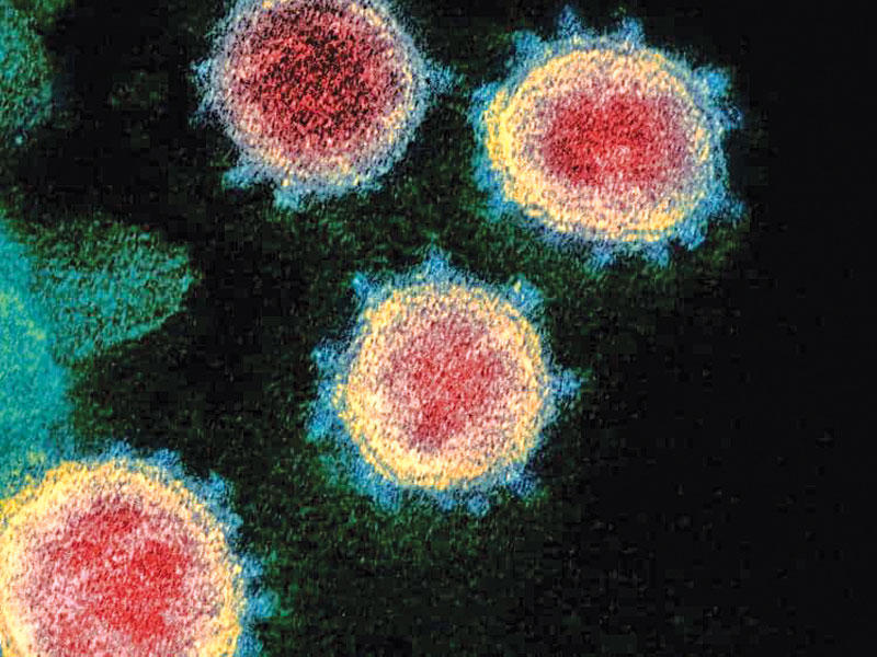فيروس كورونا