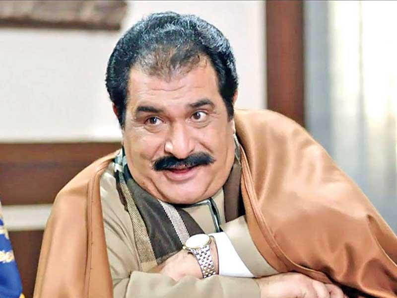 الفنان رياض الخولي