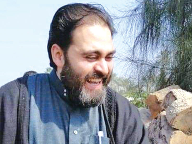 الفنان أحمد الرافعي