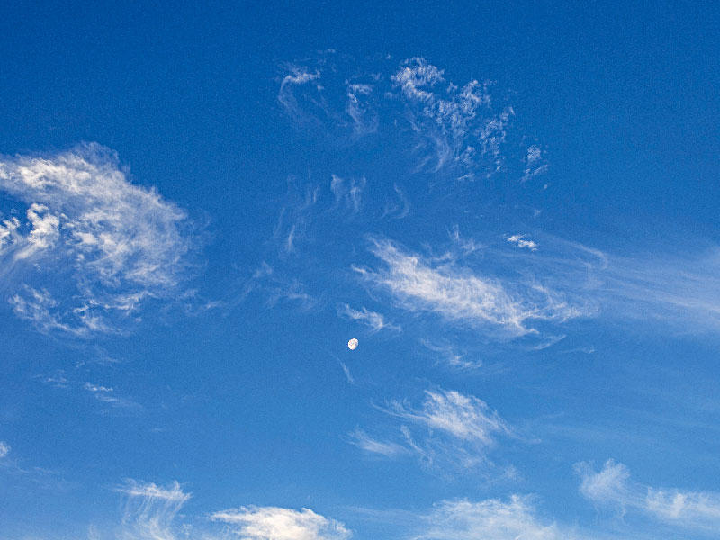 أول أيام الحَجْر... صافية n