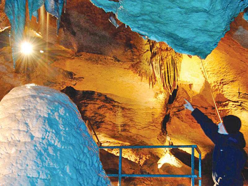 تدليك بالنمل وشجيرات توقف القلب في سويسرا