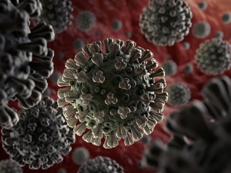 رقمان قياسيان في إصابات فيروس كورونا وحالات الشفاءn