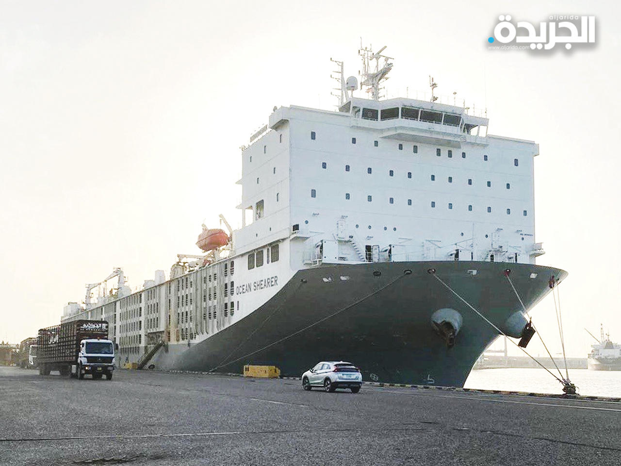 السفينة «الكويت» الخاصة بنقل الماشية