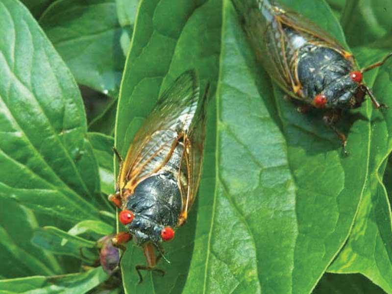 وش بقي ما ظهر يا 2020!