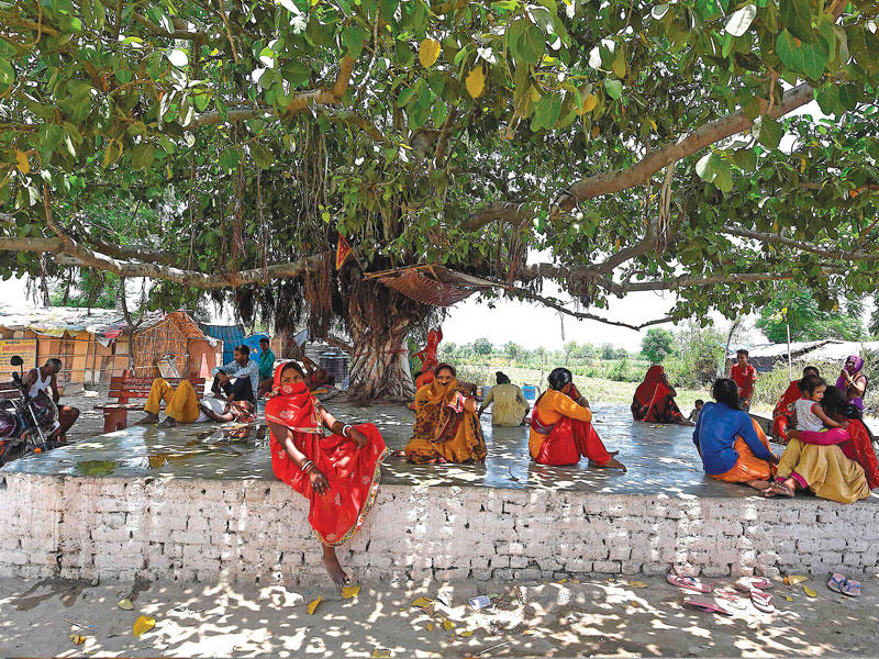 مواطنون هنود يحتمون تحت ظلال الشجر من موجة حر التي ضربت شمال البلاد
