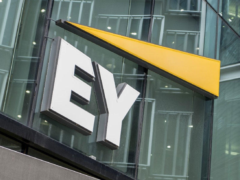 مجموعة إرنست آند يونغ