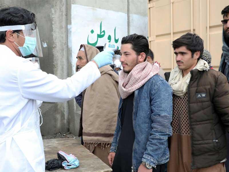 أفغان يتدفقون على خبير الاعشاب «الكوزاي» لعلاجهم