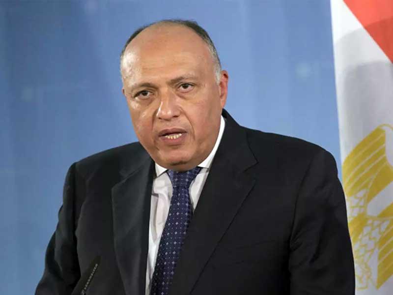 وزير الخارجية المصري سامح شكري