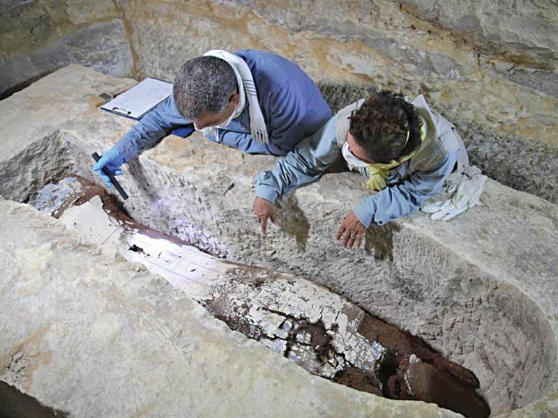 جانب من عملية الفحص 