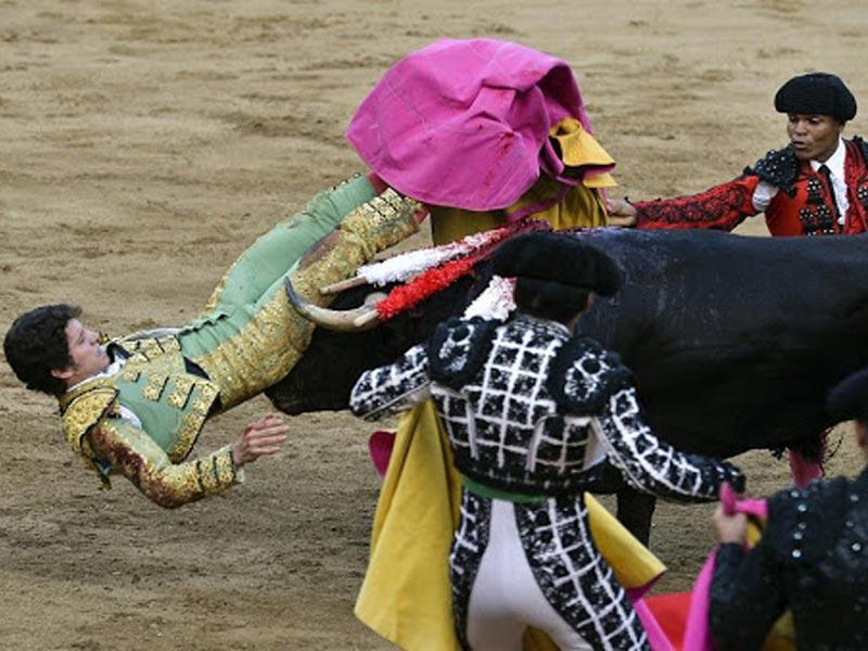 الثيران تثير الخلافات داخل كولومبيا