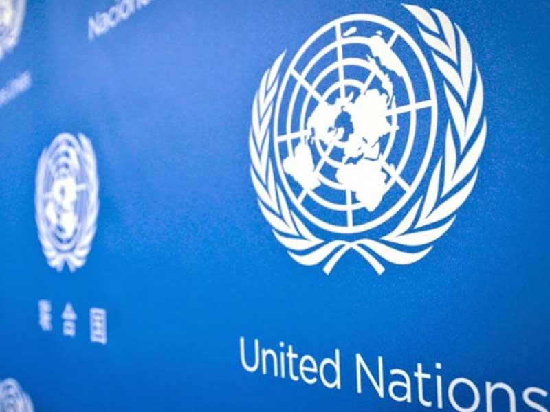 منظمة الامم المتحدة