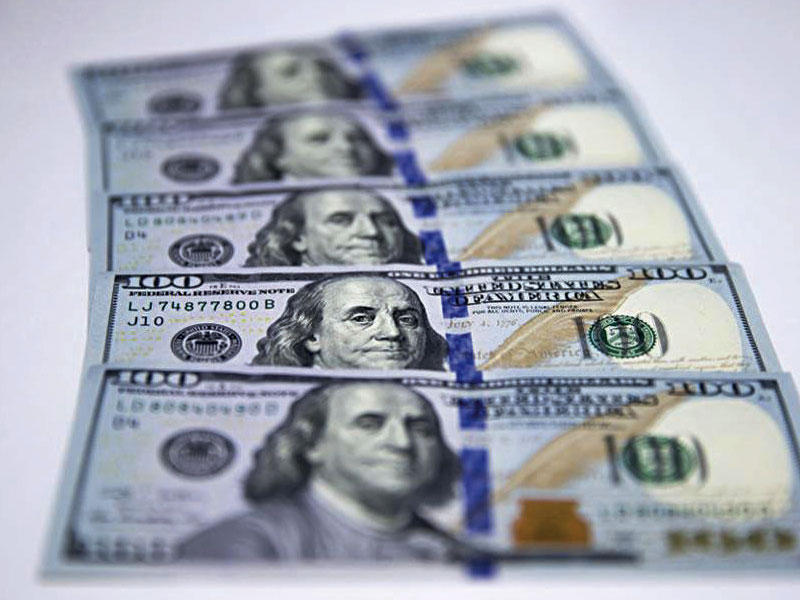 الدولار الامريكي