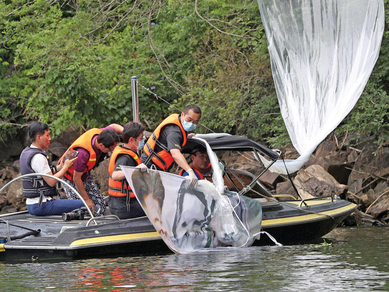 منشورات «منشقة» من كوريا الجنوبية إلى الشمالية