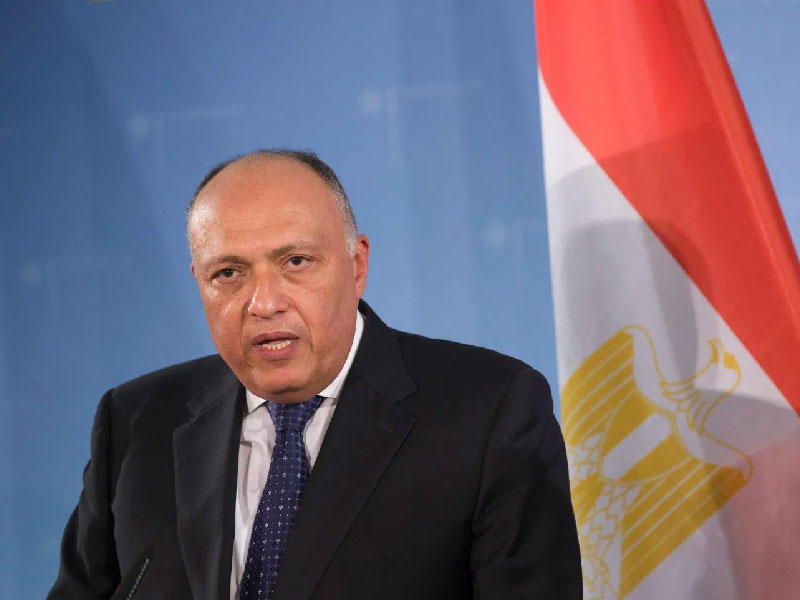 وزير الخارجية المصري سامح شكري
