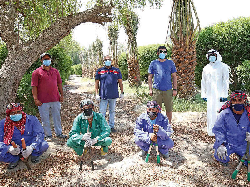 البنك الأهلي المتحد يسلم النخيل إلى الهيئة العامة للزراعة والثروة السمكية