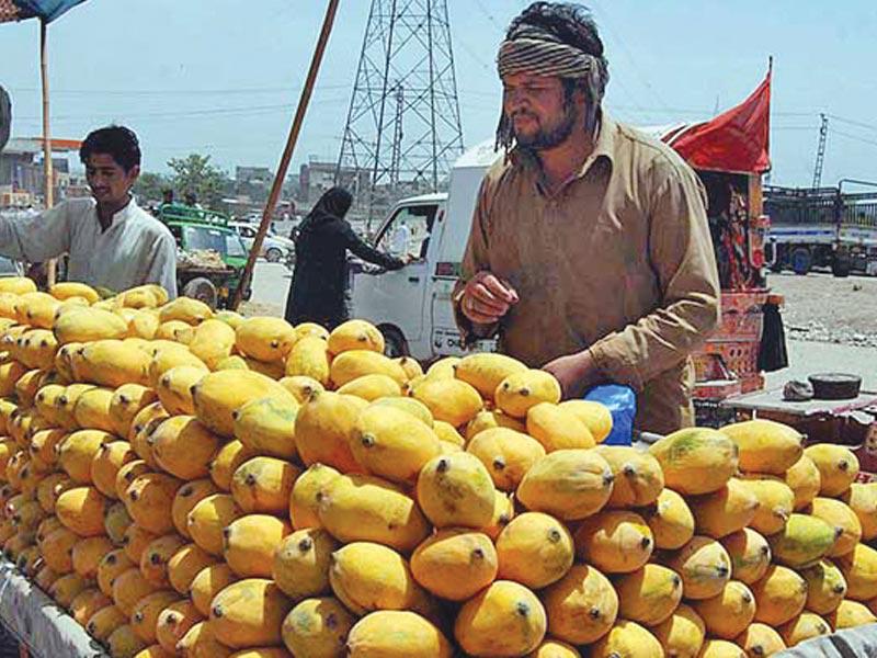 المانغا الباكستانية في خطر والعتب على فيروس كوروناn