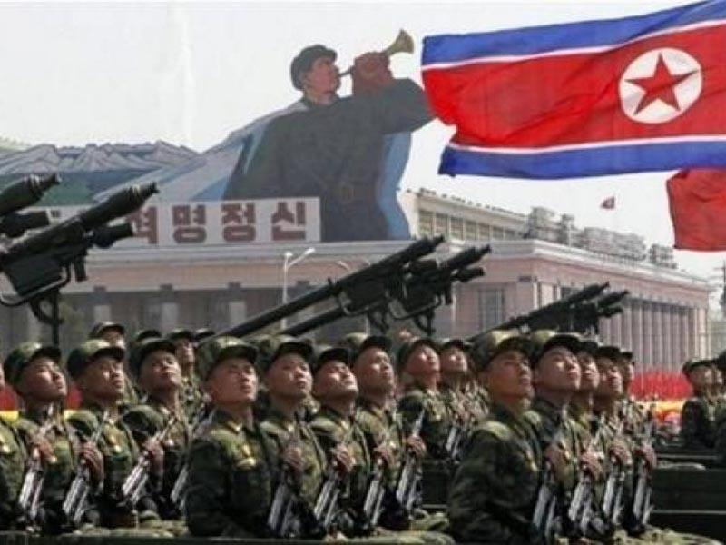 جيش كوريا الشمالية يربي الأرانب