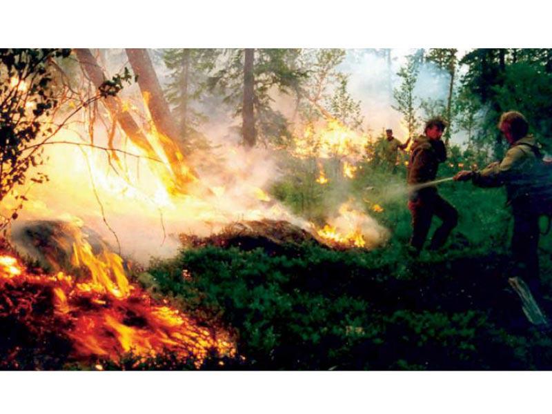 غابات سيبيريا تحترق وروسيا تحفز الغيوم