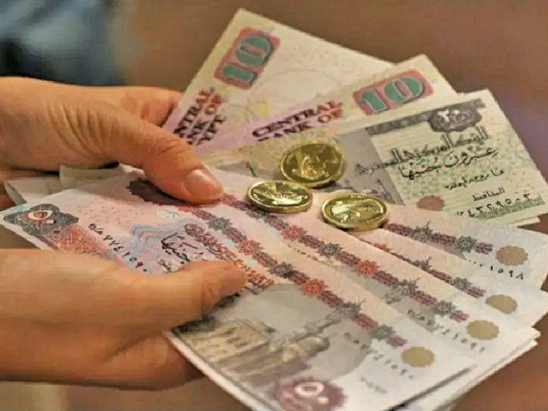 الجنيه المصري