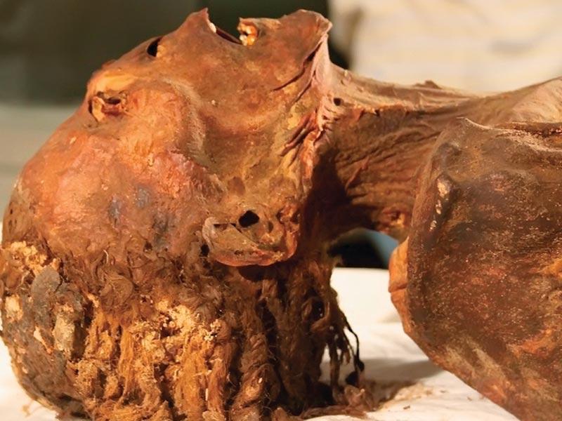 مومياء المرأة الصارخة