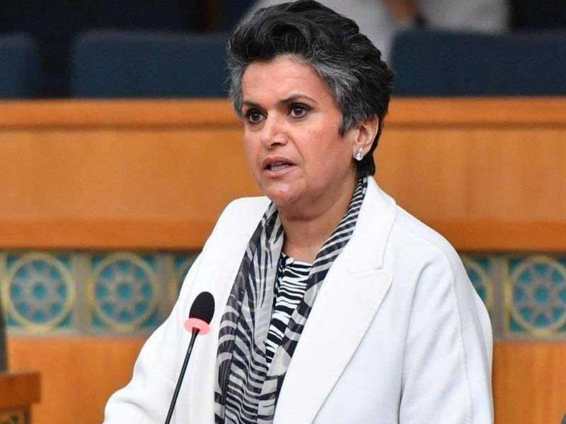  النائبة صفاء الهاشم