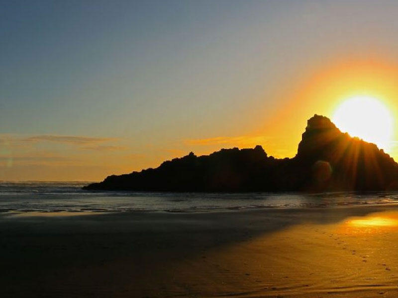 شواطيء نيوزيلندا