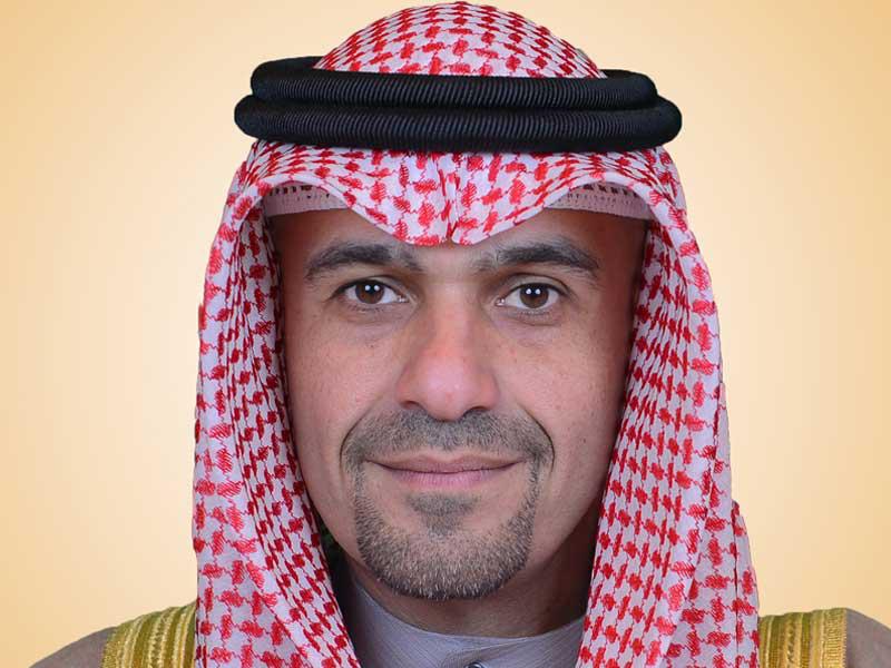 نائب رئيس مجلس الوزراء وزير الداخلية أنس الصالح