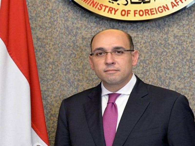 المتحدث باسم وزارة الخارجية المصرية أحمد حافظ 