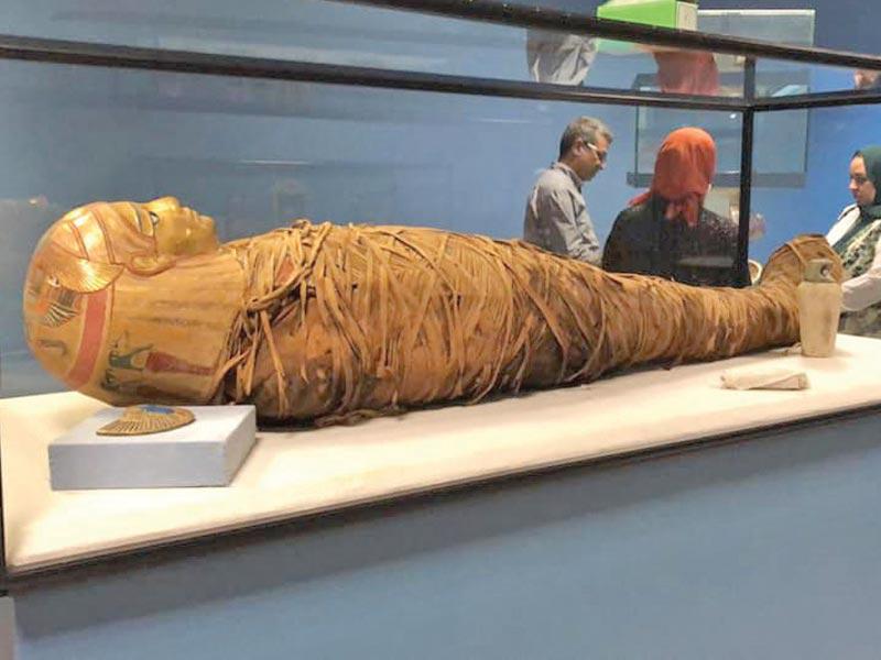 مومياء في متحف المطار