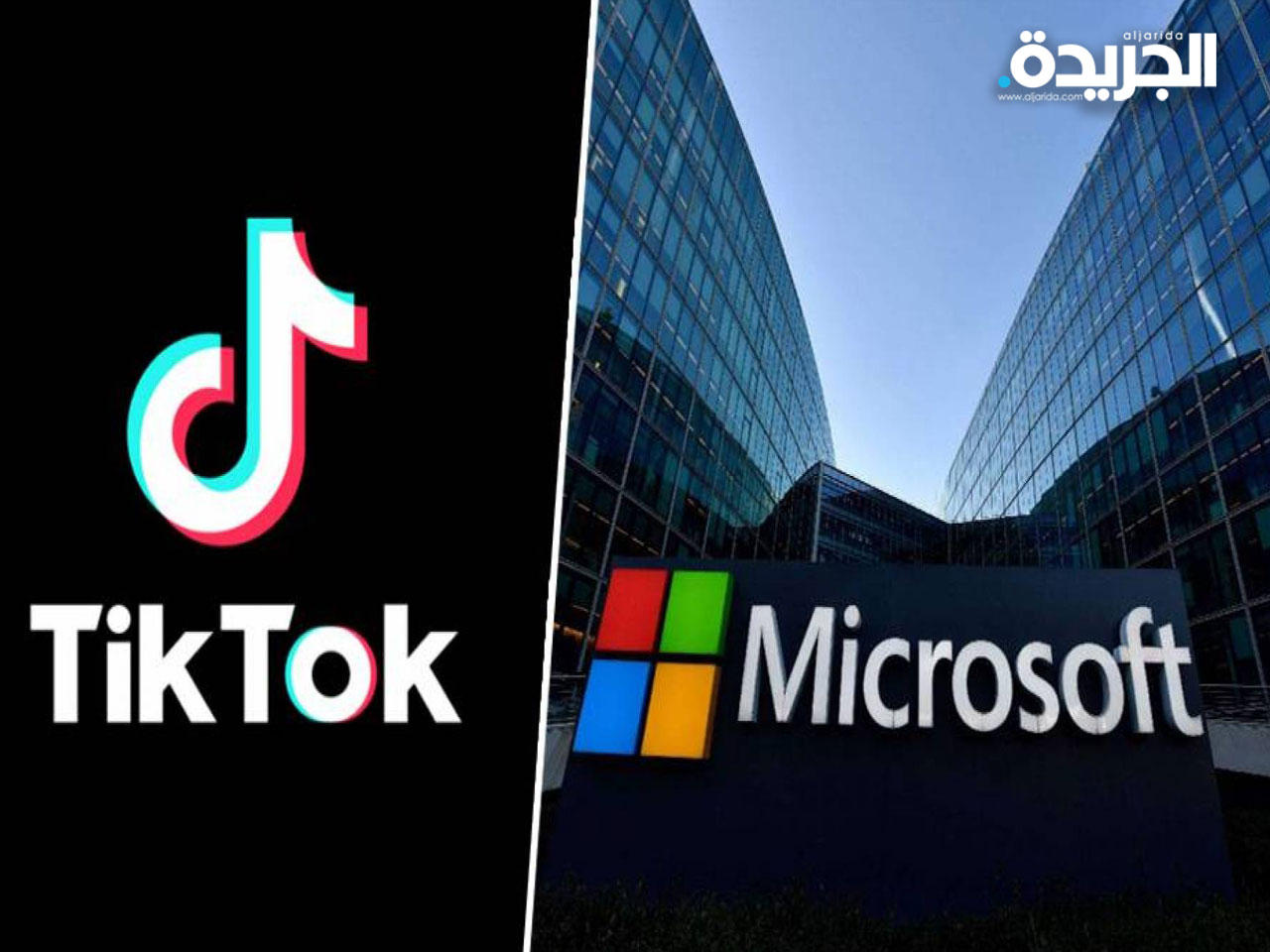 مايكروسوفت تواصل المحادثات لشراء تيك توك